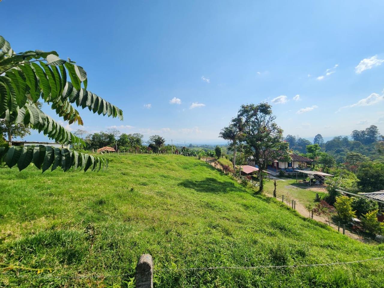 Alojamiento Rural Bellavista Hostal Filandia Exterior foto